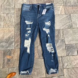 Cello jeans plus size stretchy skinny jeans